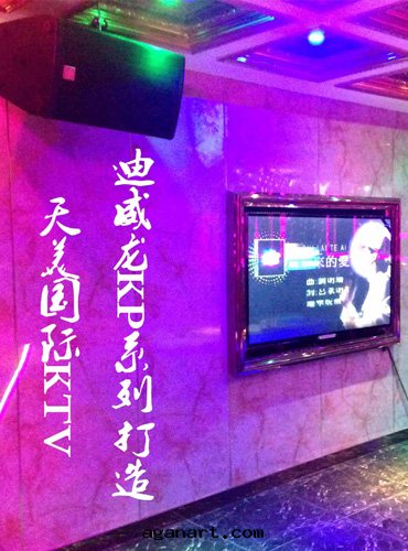 武漢天(tiān)美(měi)國(guó)際KTV音(yīn)响案(àn)例